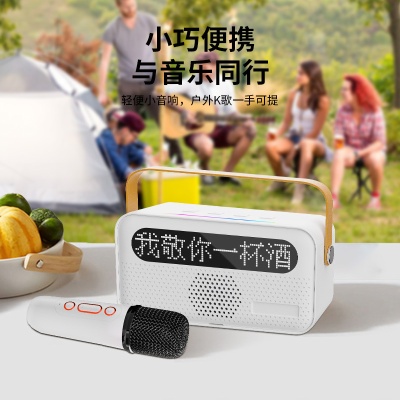 K歌音响Y8便携无线蓝牙音响带话筒歌词显示儿童无线麦克风一体