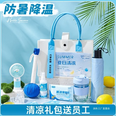 防暑降温礼品清凉夏日伴手礼套装夏季礼公司送员工福利实用大礼包