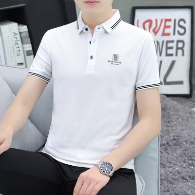 厂家代发夏季男装丝光棉polo衫时尚刺绣短袖男t恤新款男士polo衫