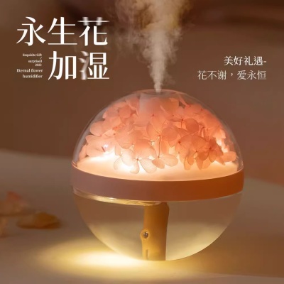 新品永生花加湿器USB迷你家用氛围灯卧室桌面雾化器 创意节日礼物
