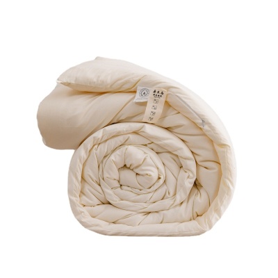 A类原棉大豆被 加厚春秋被大豆纤维被芯冬被被子礼品棉被直播代发