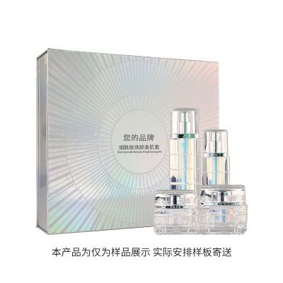 定制烟酰胺美白套盒OEM面部提亮肤色美容院护肤品套盒贴牌代加工