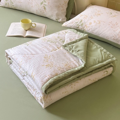 小清新夏被a类面料ins风双层纱水洗棉夏凉被床上用品泡泡棉空调被