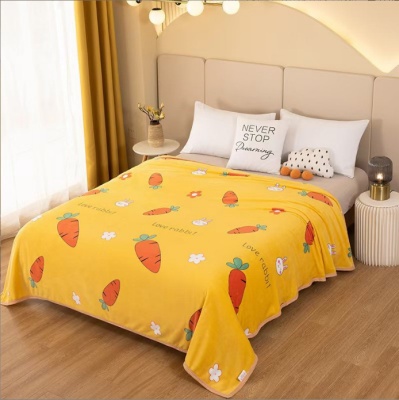 礼品毛毯空调毛毯牛奶绒毯毛毯加厚法兰绒毛毯礼盒印logo外贸跨境