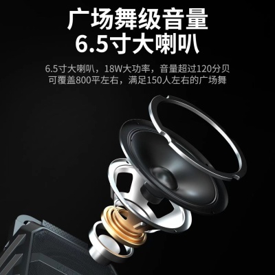 华宝F101 大功率手提蓝牙音响 广场舞音响 无线话筒蓝牙K歌音箱