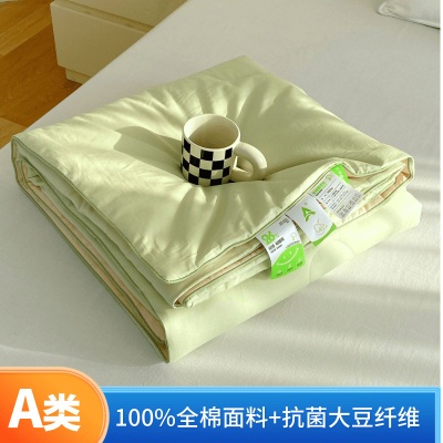A类全棉大豆夏凉被透气纯棉可洗夏被夏季空调被学生被夏季礼品被