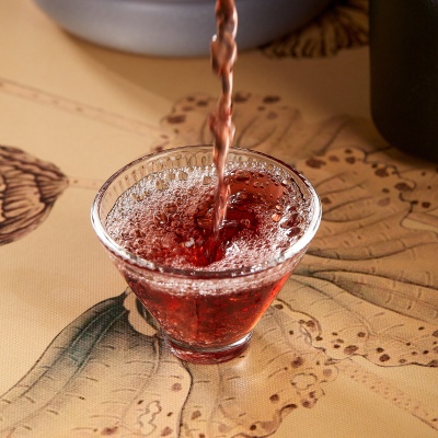 红动果酒非勾兑低度青梅原果鲜发酵批发2.5L桶装桃花酿摆摊夜市