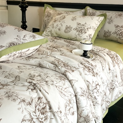 夏季A类轻奢空调被四件套可机洗夏天水洗棉薄款单双人凉感薄被子