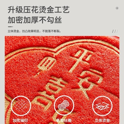 出入平安入户地垫丝圈红色高级感进门防滑垫门口玄关耐磨蹭脚垫子